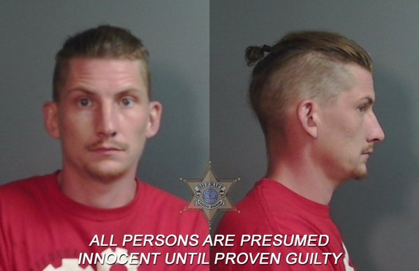Mugshot of Brandon Lee Danver