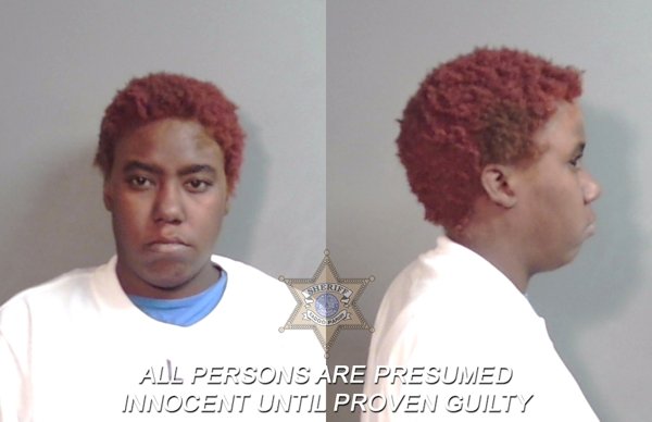 Mugshot of Lakeisha Rochell Howard