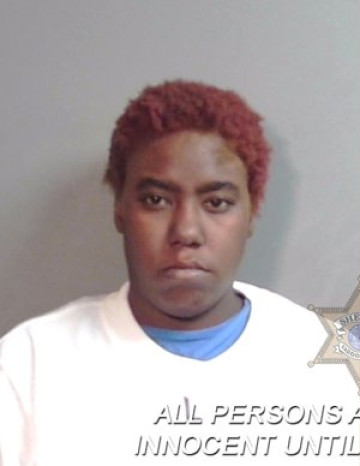 Mugshot of Lakeisha Rochell Howard