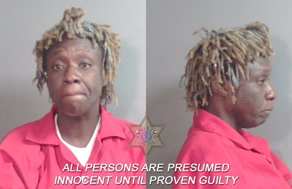 Mugshot of Andrea Denese Williams