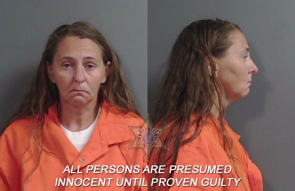 Mugshot of Davi Renee Burford