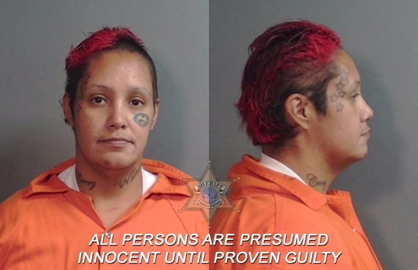 Mugshot of Erica Nicole Contreras