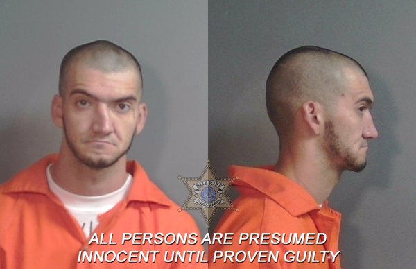 Mugshot of Bailey Todd Higdon