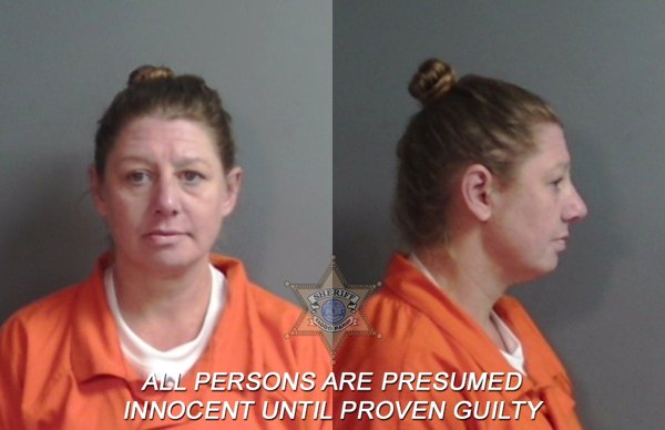 Mugshot of Crystal Rosemarie Ippoliti