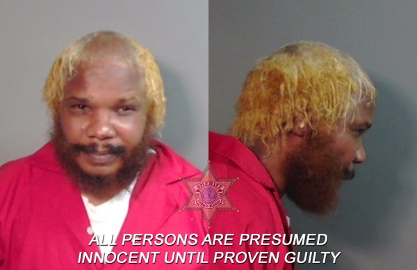 Mugshot of Danny Dametry Johnson