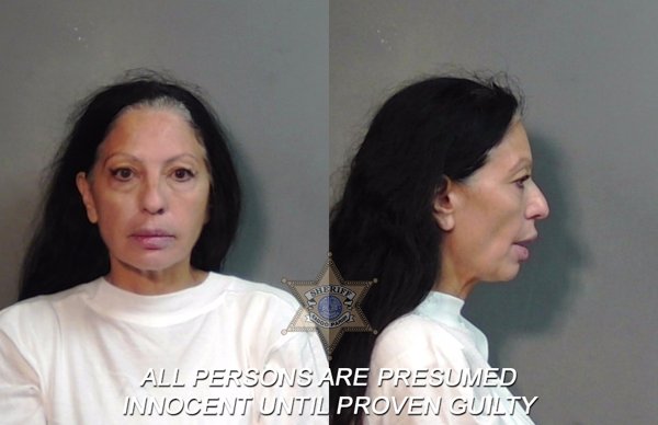 Mugshot of Michelle Renee Ojeda