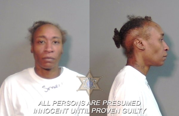 Mugshot of Chastity Dominique Freeman