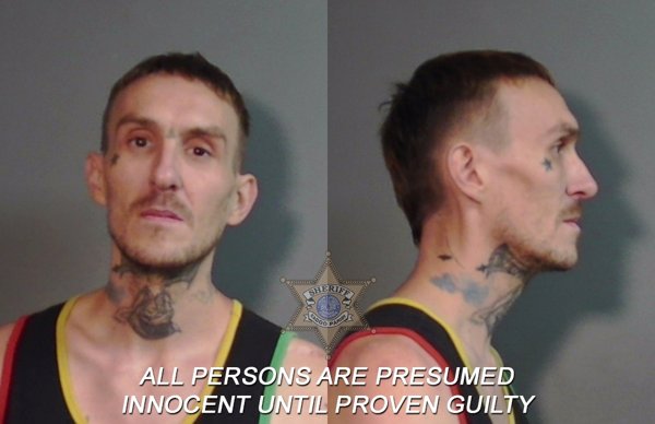 Mugshot of Joshua Reaves Willis