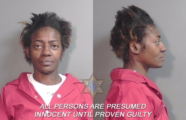 Mugshot of Denise Lewis