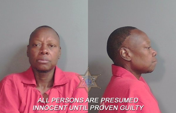 Mugshot of Erica Lavette Shine