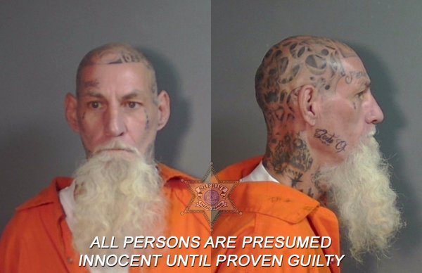 Mugshot of Donald Wayne Reyenga
