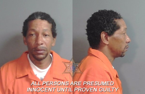 Mugshot of Synica Andrew Lewis