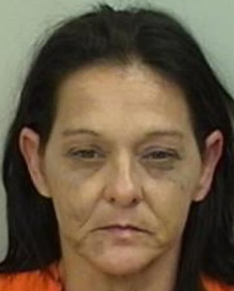 Mugshot of Heather Renee Young