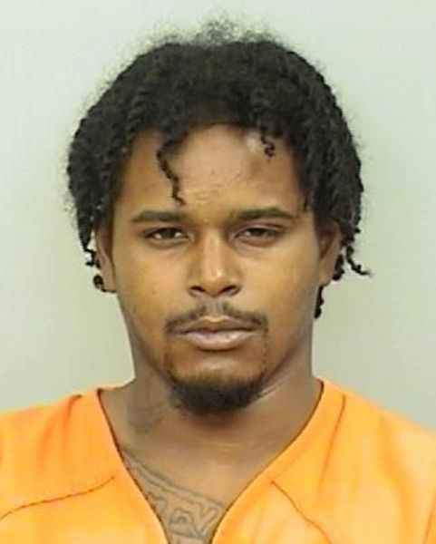 Mugshot of Brycelyn Ray Anderson