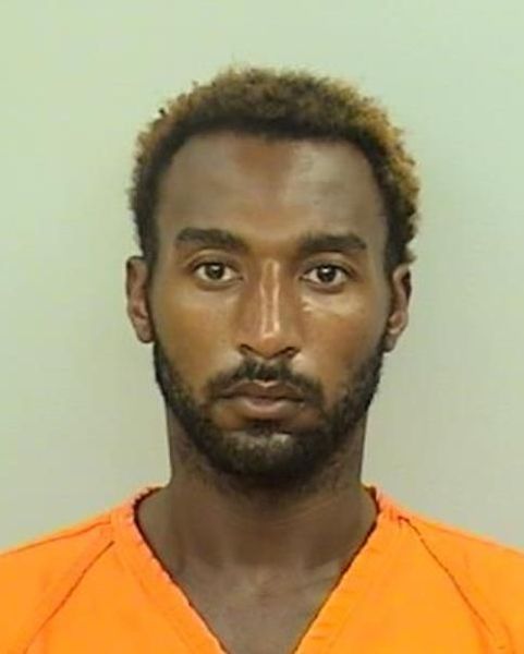 Mugshot of Reginald Andre Wilson