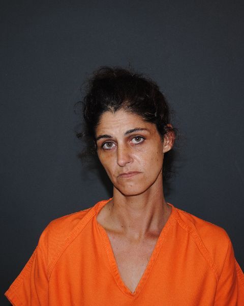 Mugshot of Nicole Sherre Coleman