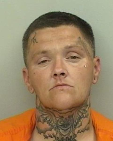 Mugshot of Taylor Ashley Callahan
