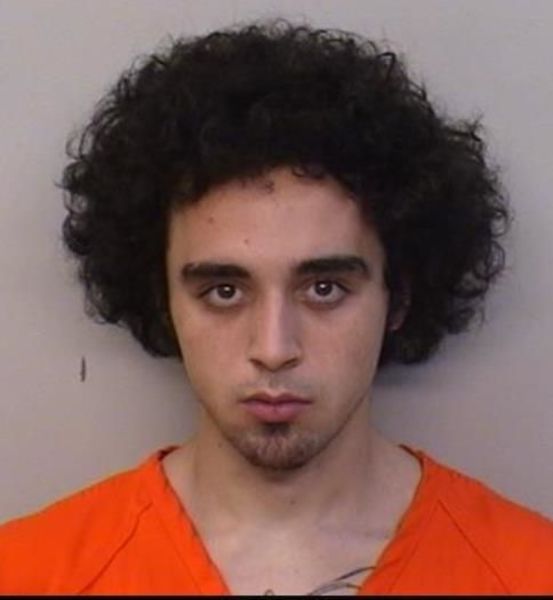 Mugshot of Tan Theodore Constance