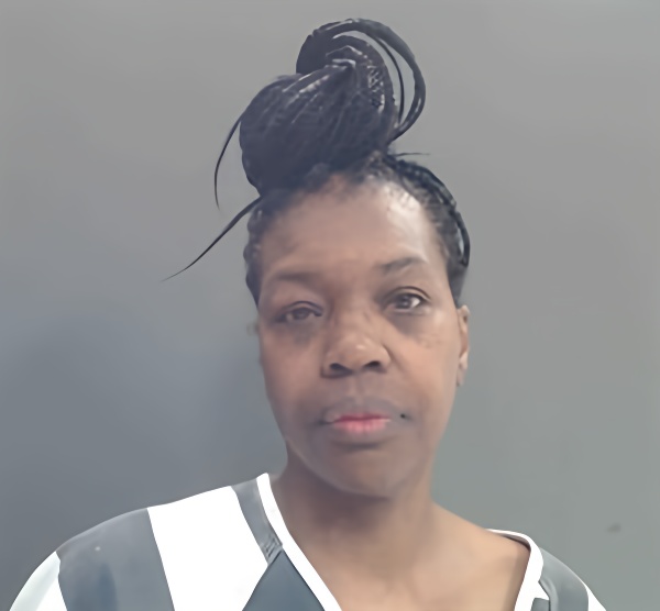 Mugshot of MARLANA JERLINE FISHER