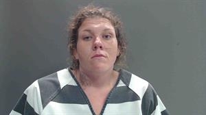 Mugshot of HEIDI RENAY HOPKINS