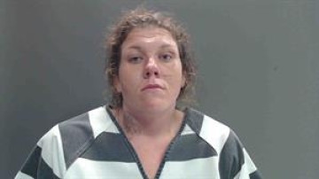 Mugshot of HEIDI RENAY HOPKINS