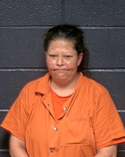Mugshot of MARY LEE ANDERSON