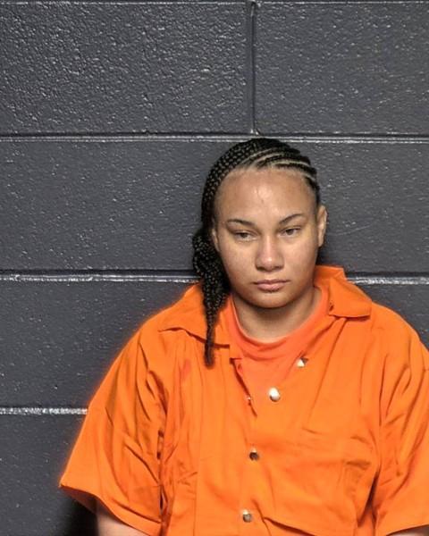 Mugshot of NAYDEEN FREDERICK