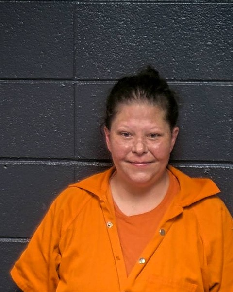 Mugshot of MARY LEE ANDERSON