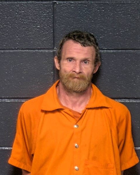 Mugshot of BRUCE LEE VINES