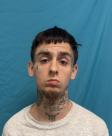Mugshot of TROY E COPELAND