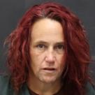 Mugshot of SHAWN MICHELLE MCALISTER