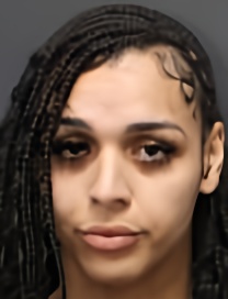 Mugshot of HAYES HAYWARD ANTHONY