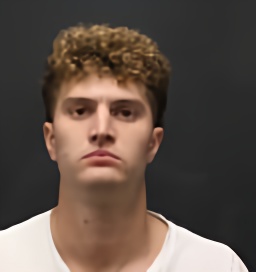 Mugshot of BLAKE DAVID