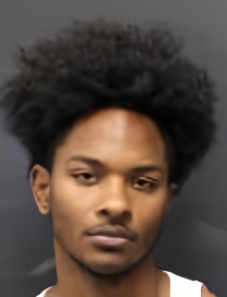Mugshot of TYREE GEIGER