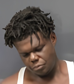 Mugshot of JOSHUA JEROME STEWART