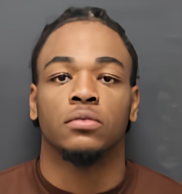 Mugshot of LADAVION WALLS