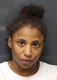 Mugshot of BREANNE PATTERSON