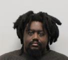 Mugshot of BRETT J HOLMES