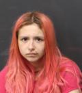 Mugshot of CHESNEY WALKER