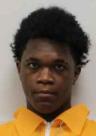 Mugshot of MICHAEL J VEAL