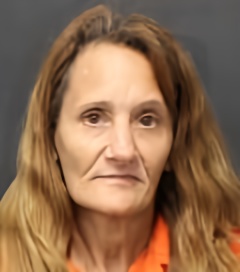 Mugshot of MELISSA PALMER