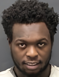 Mugshot of TYLER GERARD ALDOPHUS HAYES