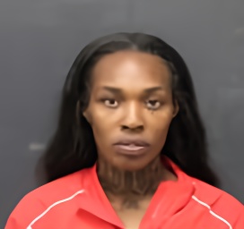 Mugshot of YIRIELLE ANIYA FERGUSON
