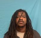 Mugshot of ANDREA D FREEMAN