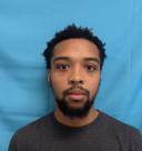 Mugshot of STEPHEN LEE WATSON
