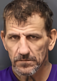 Mugshot of HEATH WAYNE PERKINS