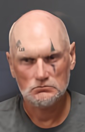 Mugshot of SHAWN PLOWMAN