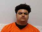 Mugshot of SAMUEL BROGAN