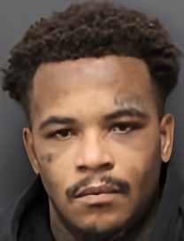 Mugshot of TERRELL DEVANTE MARTIN