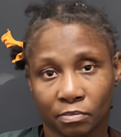 Mugshot of ASHLEY HOWARD